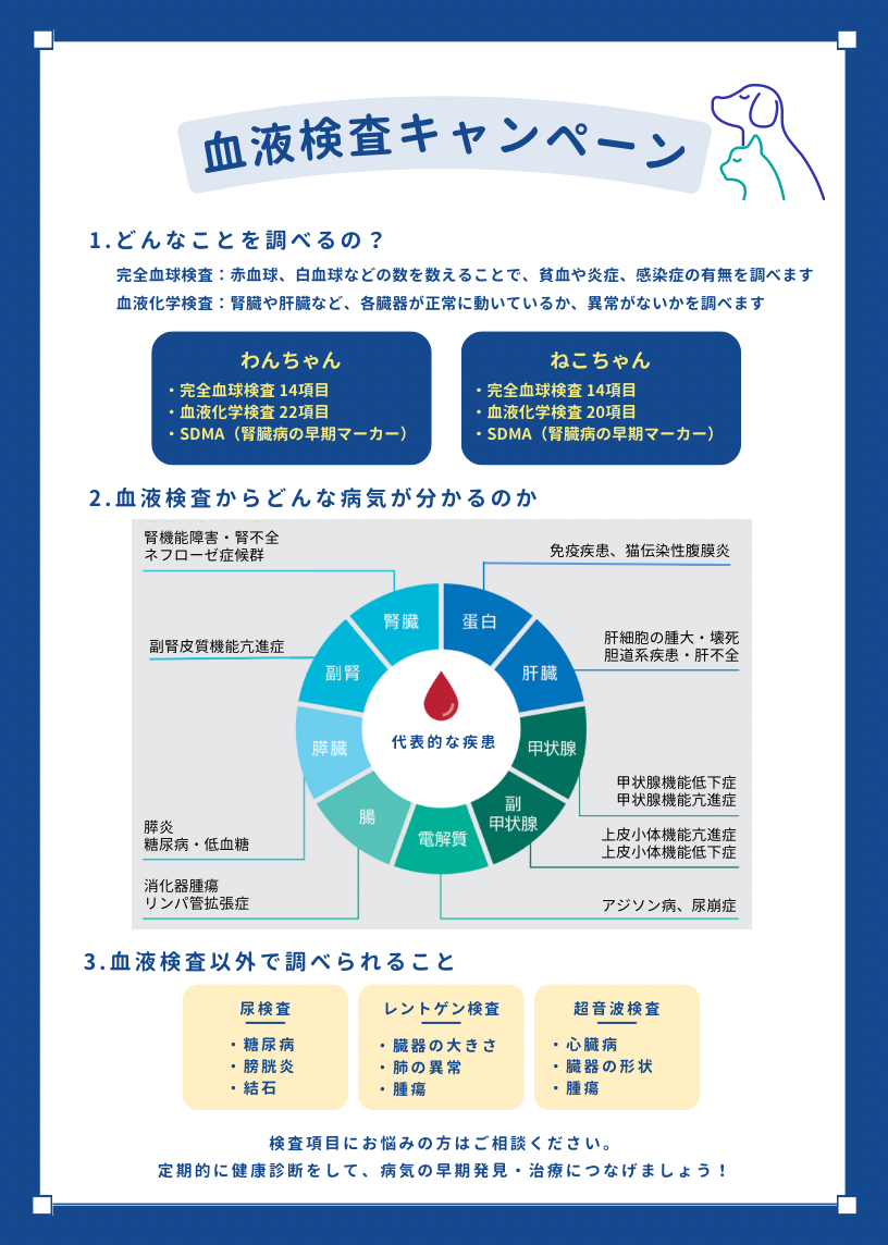 健康診断　きむら動物診療室.pptx